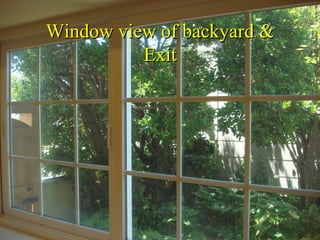 Window view of backyard &
          Exit
 