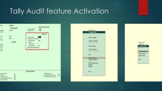 Tally audit | PDF