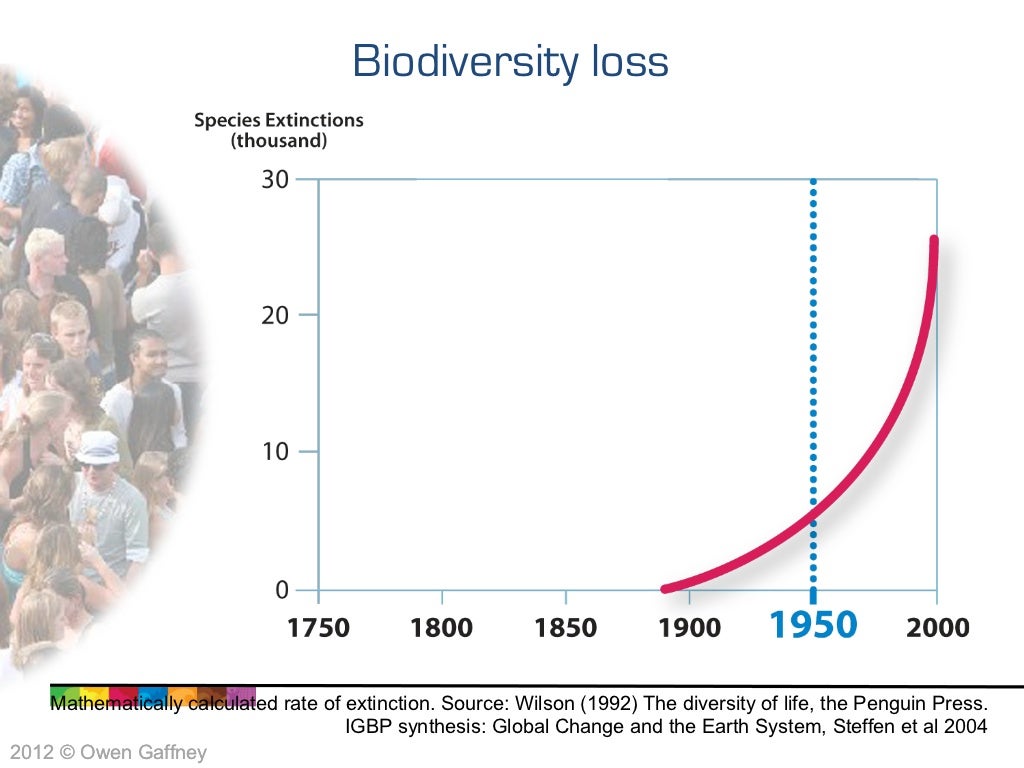 Biodiversity loss Mathematically calculated rate