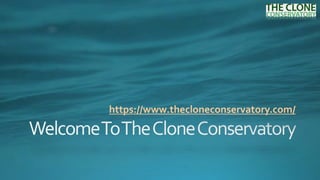 https://www.thecloneconservatory.com/
 