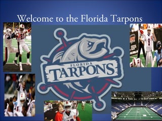 Welcome to the Florida Tarpons
 