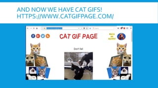 AND NOW WE HAVE CAT GIFS!
HTTPS://WWW.CATGIFPAGE.COM/
 