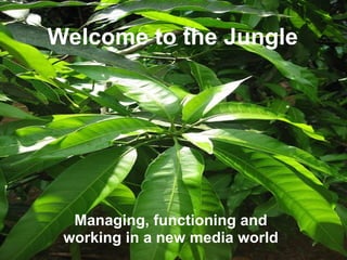 Welcome to the Jungle Managing, functioning and working in a new media world 