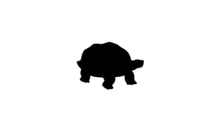 Welcome to the Jungle