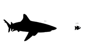 Welcome to the Jungle