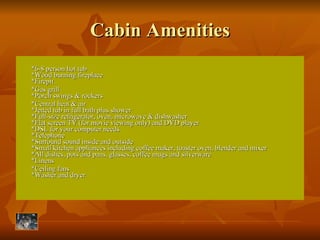 Cabin Amenities *6-8 person hot tub  *Wood burning fireplace  *Firepit *Gas grill  *Porch swings & rockers  *Central heat & air *Jetted tub in full bath plus shower  *Full-size refrigerator, oven, microwave & dishwasher  *Flat screen TV (for movie viewing only) and DVD player  *DSL for your computer needs  *Telephone  *Surround sound inside and outside  *Small kitchen appliances including coffee maker, toaster oven, blender and mixer  *All dishes, pots and pans, glasses, coffee mugs and silverware  *Linens *Ceiling fans *Washer and dryer  