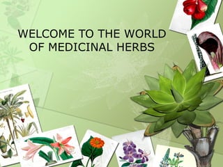 WELCOME TO THE WORLD
OF MEDICINAL HERBS
 