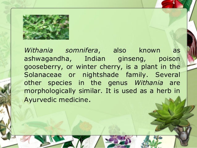 Presentation On Medicinal Herbs Class 10 English Mcb