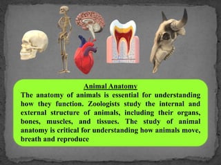 WELCOME TO THE WORLD OF ZOOLOGY.pptx