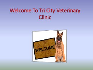 Welcome To Tri City Veterinary
Clinic
 