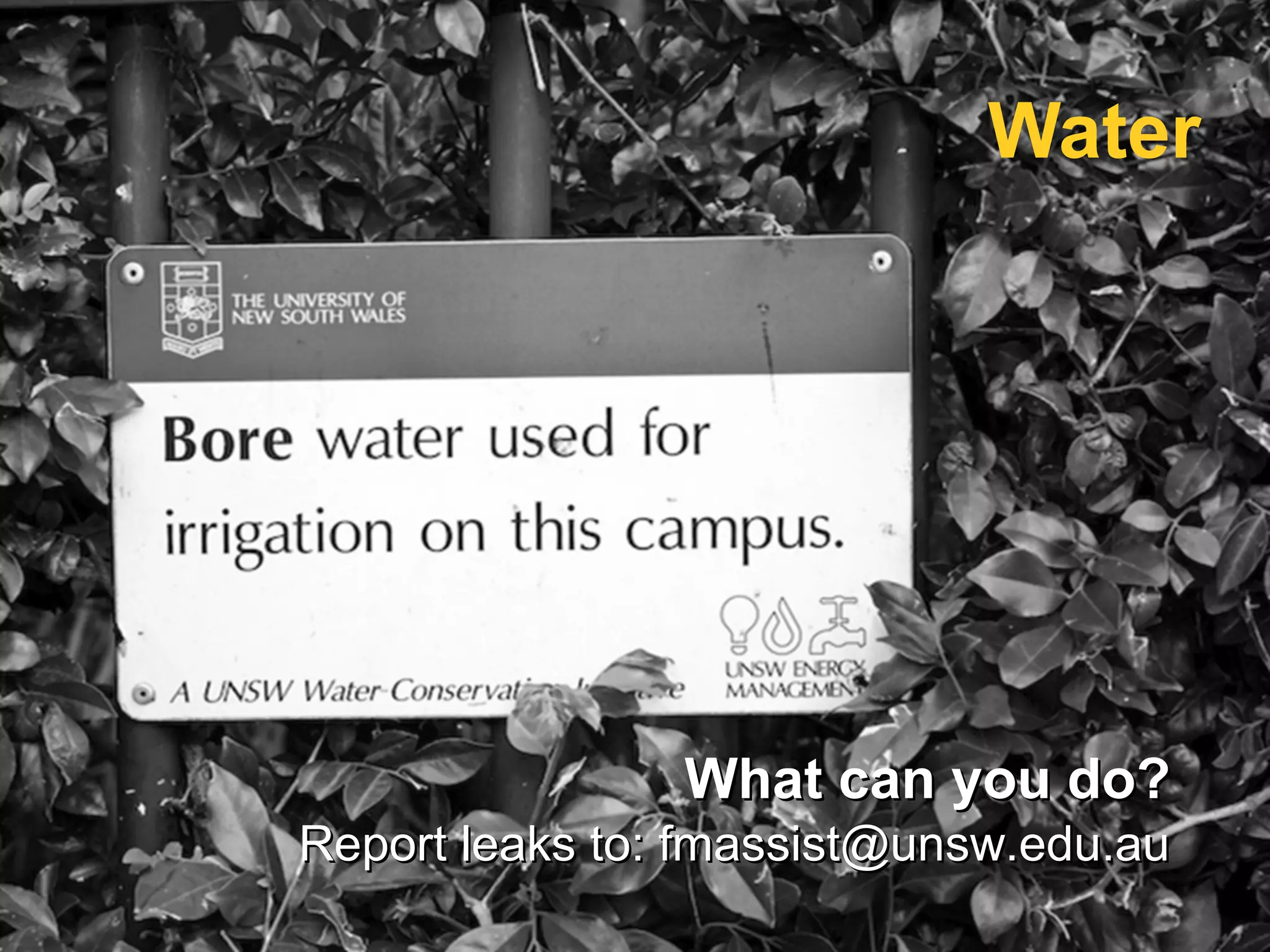 Welcome to UNSW | PPT