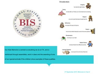 Our Aide Memoire is central to everything we do at TX, and is
reinforced through assemblies, work in class and the awarding of one
of our special animals if the children show examples of these qualities.
3rd September 2015 -Welcome to Year 6
 