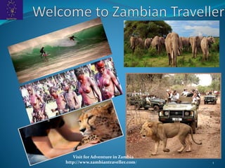 1 
Visit for Adventure in Zambia 
http://www.zambiantraveller.com/ 
 