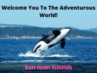 Welcome You To The Adventurous
World!
San Juan Islands
 