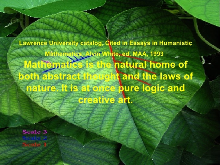 Essay about mathematics in nature