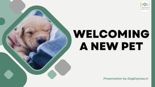 WELCOMING
A NEW PET
Presentation by DogExpress.In
 