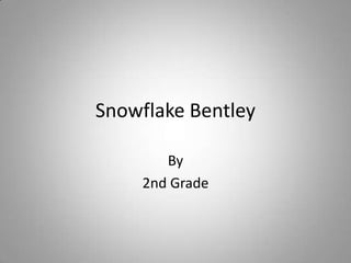 Snowflake Bentley By Ms. Weldon’s 2nd Grade 