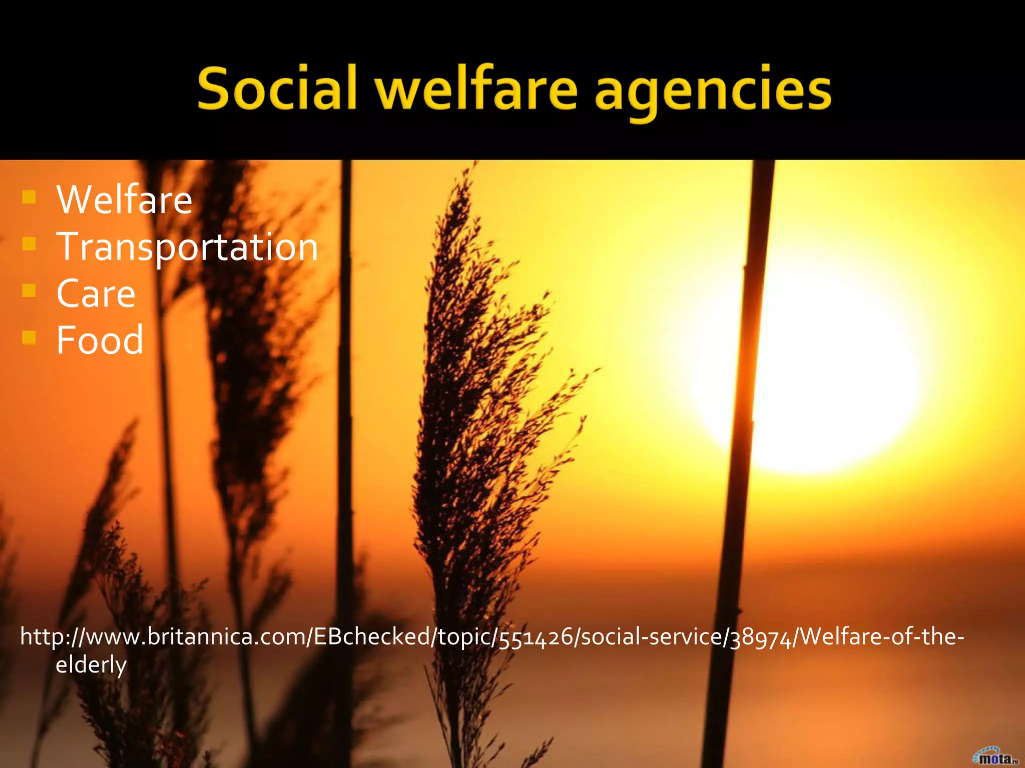 Welfare Role of Government and Welfare Agencies | PPT