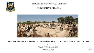DEPARTMENT OF ANIMAL SCIENCE
UNIVERSITY OF IBADAN
WELFARE AND ETHICAL ISSUES ON OFFLOADING OF CATTLE IN AKINYELE MARKET, IBADAN
BY
VALENTINE OBIASOGU
AUGUST, 2020
 