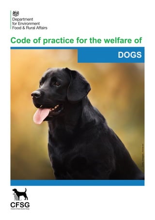 Code of practice for the welfare of
DOGS
Getty
Images
-
Anna-av
 