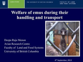 Welfare of emus during their
handling and transport
Deepa Raju Menon
Avian Research Centre
Faculty of Land and Food Systems
University of British Columbia
4th September, 2013
 