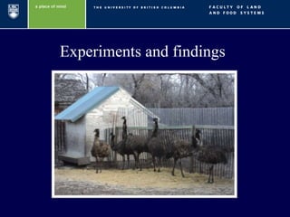 Welfare of emus during their handling and transport | PPTX