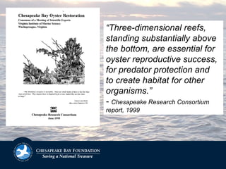 “Three-dimensional reefs,
standing substantially above
the bottom, are essential for
oyster reproductive success,
for predator protection and
to create habitat for other
organisms.”
- Chesapeake Research Consortium
report, 1999
 