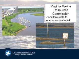 Virginia Marine
Resources
Commission
shellpile reefs to
restore vertical relief
 