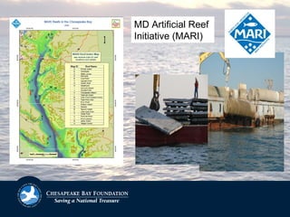 MD Artificial Reef
Initiative (MARI)
 