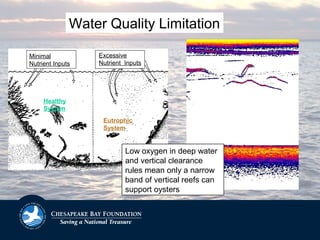 Healthy
System
Eutrophic
System
Minimal
Nutrient Inputs
Excessive
Nutrient Inputs
Water Quality Limitation
Low oxygen in deep water
and vertical clearance
rules mean only a narrow
band of vertical reefs can
support oysters
 
