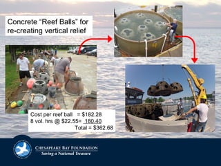 Concrete “Reef Balls” for
re-creating vertical relief
Cost per reef ball = $182.28
8 vol. hrs @ $22.55= 180.40
Total = $362.68
 