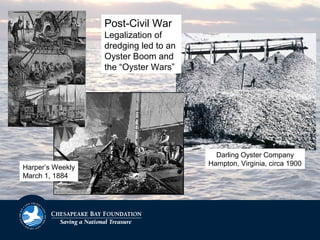 Darling Oyster Company
Hampton, Virginia, circa 1900
Harper’s Weekly
March 1, 1884
Post-Civil War
Legalization of
dredging led to an
Oyster Boom and
the “Oyster Wars”
 