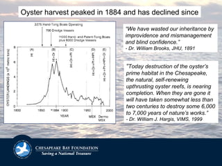 “We have wasted our inheritance by
improvidence and mismanagement
and blind confidence.”
- Dr. William Brooks, JHU, 1891
“Today destruction of the oyster’s
prime habitat in the Chesapeake,
the natural, self-renewing
upthrusting oyster reefs, is nearing
completion. When they are gone it
will have taken somewhat less than
two centuries to destroy some 6,000
to 7,000 years of nature’s works.”
- Dr. William J. Hargis, VIMS, 1999
Oyster harvest peaked in 1884 and has declined since
 