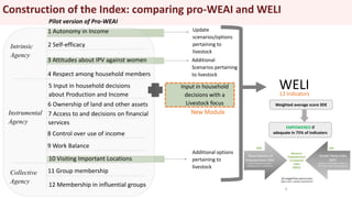 Construction of the Index: comparing pro-WEAI and WELI
9
1 Autonomy in Income
2 Self-efficacy
3 Attitudes about IPV agains...