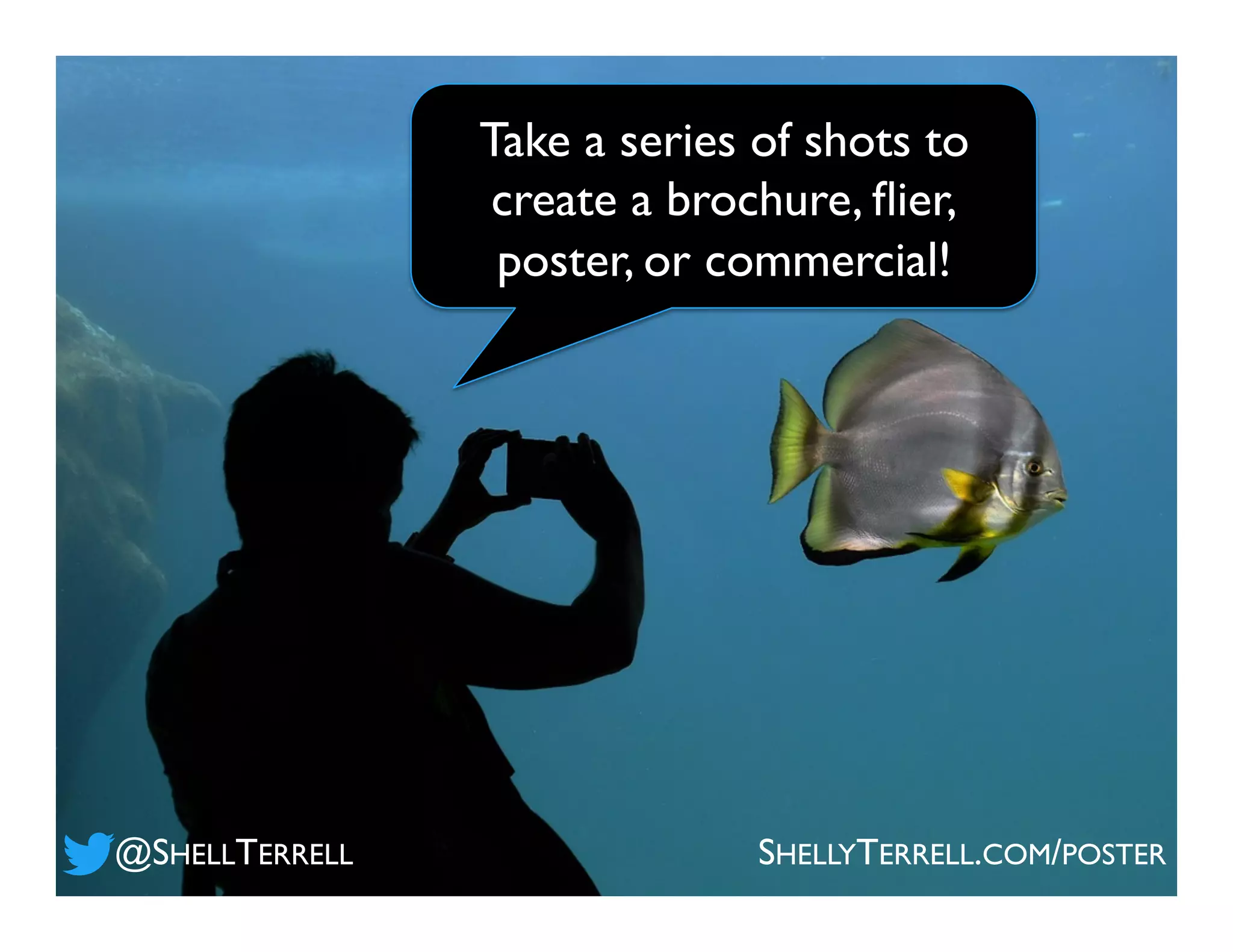Take a series of shots to
create a brochure, ﬂier,
poster, or commercial!
@SHELLTERRELL SHELLYTERRELL.COM/POSTER
 