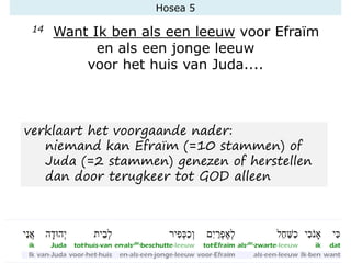 Hosea 5
14 Want Ik ben als een leeuw voor Efraïm
en als een jonge leeuw
voor het huis van Juda....
verklaart het voorgaande nader:
niemand kan Efraïm (=10 stammen) of
Juda (=2 stammen) genezen of herstellen
dan door terugkeer tot GOD alleen
 