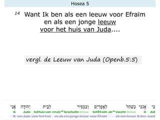 Hosea 5
14 Want Ik ben als een leeuw voor Efraïm
en als een jonge leeuw
voor het huis van Juda....
vergl. de Leeuw van Juda (Openb.5:5)
 
