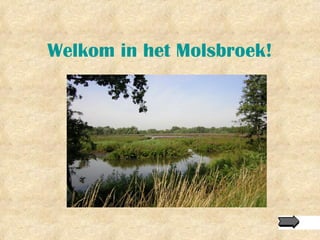 Welkom in het Molsbroek! 