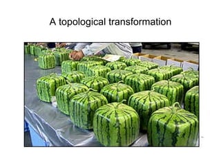A topological transformation 