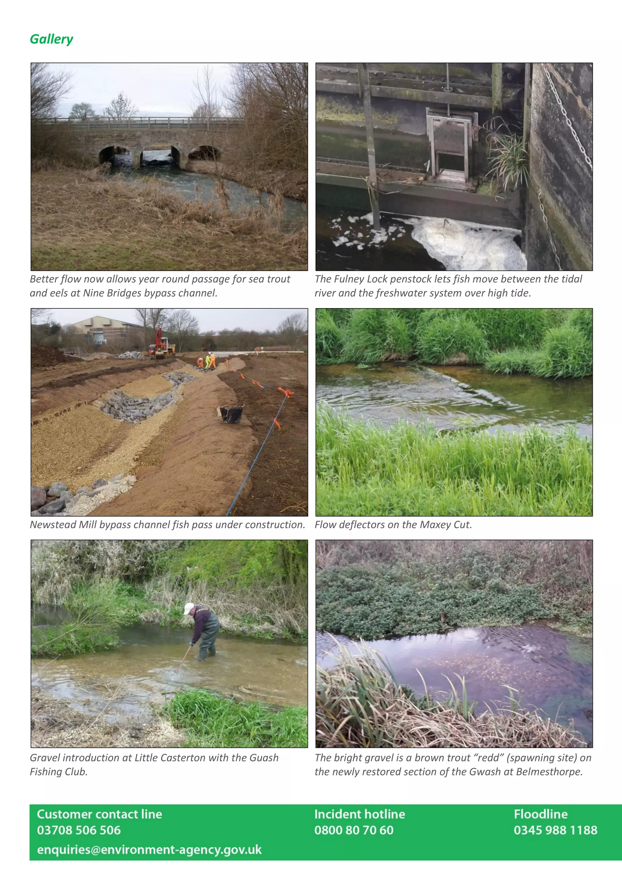 Gallery
Better flow now allows year round passage for sea trout
and eels at Nine Bridges bypass channel.
The Fulney Lock penstock lets fish move between the tidal
river and the freshwater system over high tide.
Newstead Mill bypass channel fish pass under construction. Flow deflectors on the Maxey Cut.
Gravel introduction at Little Casterton with the Guash
Fishing Club.
The bright gravel is a brown trout “redd” (spawning site) on
the newly restored section of the Gwash at Belmesthorpe.
 