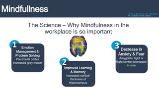 The Science – Why Mindfulness in the
workplace is so important
Emotion
Management &
Problem Solving
Pre-frontal cortex
Increased grey matter
Decrease in
Anxiety & Fear
Amygdala, fight or
flight centre decreased
in size
Improved Learning
& Memory
Increased cortical
thickness of
Hippocampus
1
2
3
 