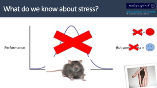 Performance
Stress
Stress =
But some stress =
 