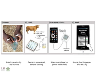 Livestock and economic well-being