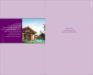 Wellb wellness Packages