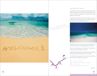 Wellb wellness Packages