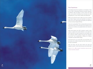 Wellb wellness Packages