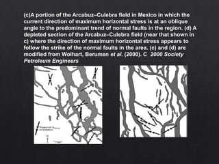 (c)A portion of the Arcabuz–Culebra field in Mexico in which the
current direction of maximum horizontal stress is at an oblique
angle to the predominant trend of normal faults in the region. (d) A
depleted section of the Arcabuz–Culebra field (near that shown in
c) where the direction of maximum horizontal stress appears to
follow the strike of the normal faults in the area. (c) and (d) are
modified from Wolhart, Berumen et al. (2000). C 2000 Society
Petroleum Engineers
 