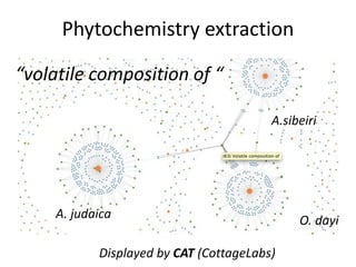 Phytochemistry extraction
O. dayi
“volatile composition of “
A.sibeiri
A. judaica
Displayed by CAT (CottageLabs)
 