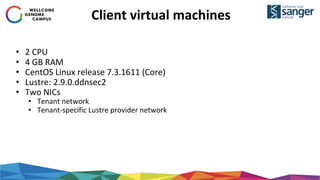 Client virtual machines
• 2 CPU
• 4 GB RAM
• CentOS Linux release 7.3.1611 (Core)
• Lustre: 2.9.0.ddnsec2
• Two NICs
• Tenant network
• Tenant-specific Lustre provider network
 