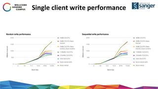 Single client write performance
 